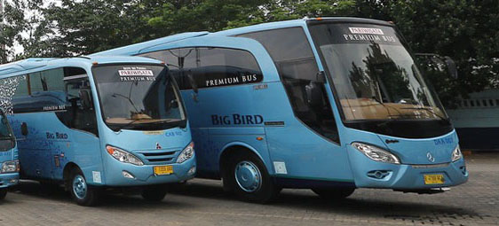 Bus Trans Bintaro Big Bird